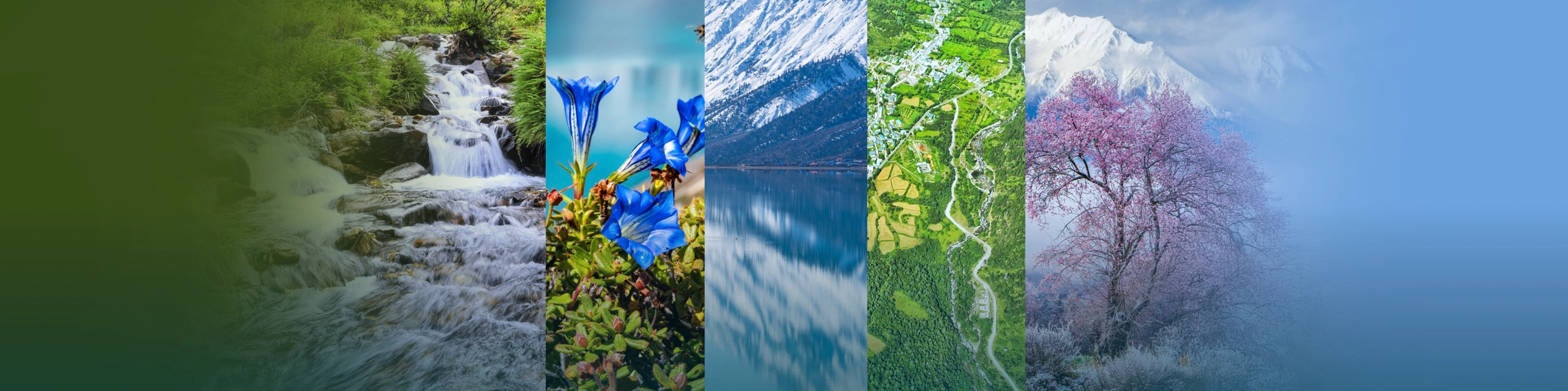 原料开发技术平台